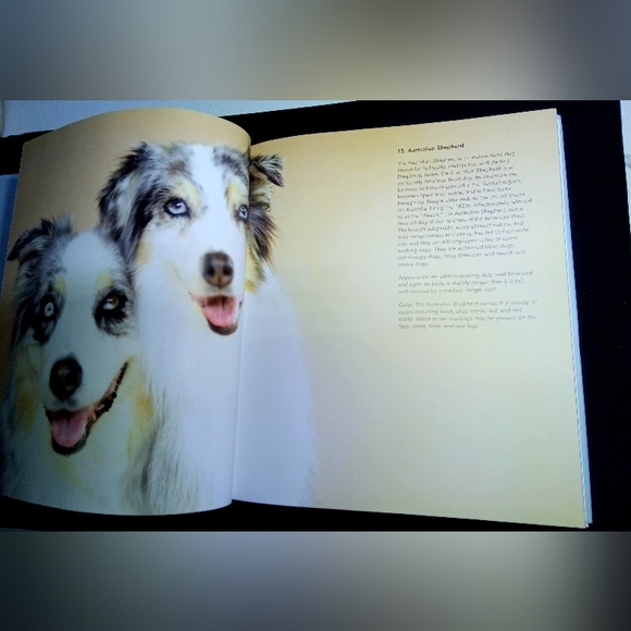 101 Adorable Dog Breeds Coffee Table Book Pup Hardback Covered Glossy Pictures - Picture 2 of 5